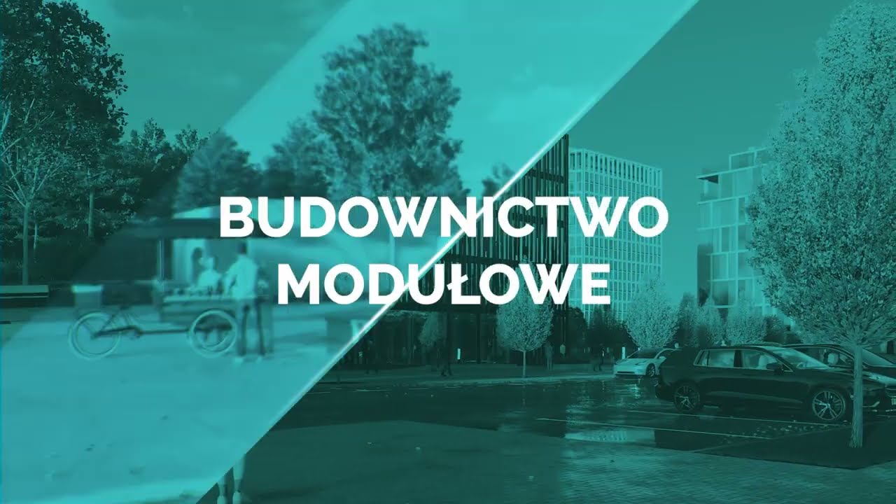 Video title
